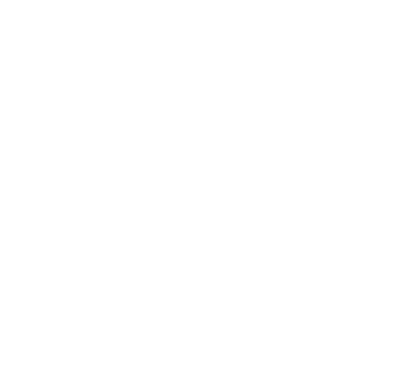 Logo Lis